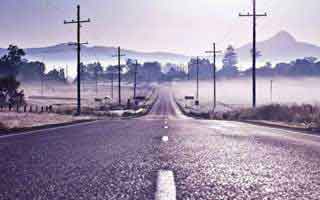 Beyond Meat's Stock Goes Wild: The Short Squeeze vs. Reality – What Reddit is Saying