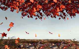 Hyundai: The models, SUVs, and what's actually worth a damn