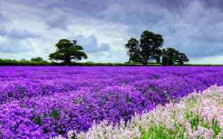 Retirement Age: Reimagining Our Golden Years