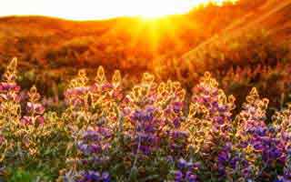 DeFi Token Performance Post-October Crash: Unfolding Trends and the Future for Investors