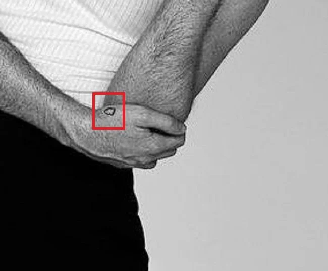 Duncan Ferguson's Critical Punditry: A breakdown of his Everton critique and surprising player rankings