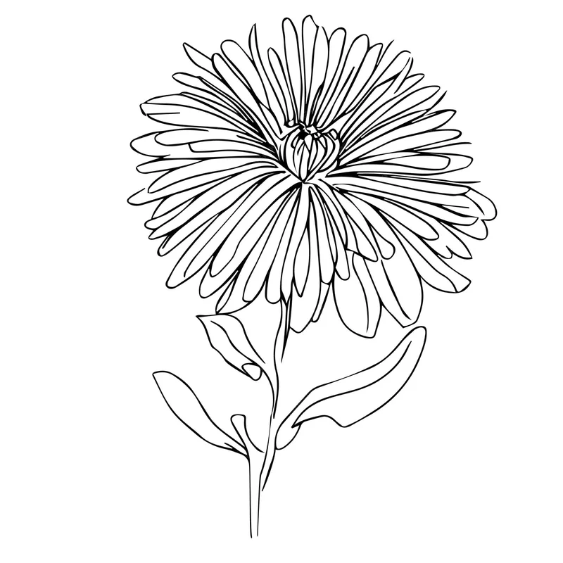 Aster's Botched Airdrop: The "Data Inconsistencies" and What This Project Even Is