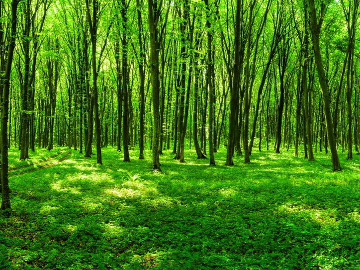 Green Bay's Innovation Surge: Why a New Startup Accelerator is a Game-Changer